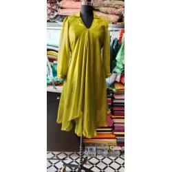Indo Western Gown